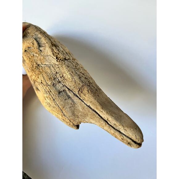 Driftwood from Hetch Hetchy dam 12 inches aquarium art decor - Picture 8 of 9